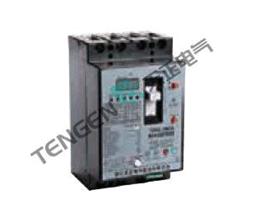 TGM2L系列剩余电流保护断路器