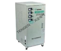 TND/TNS系列全自动交流稳压器