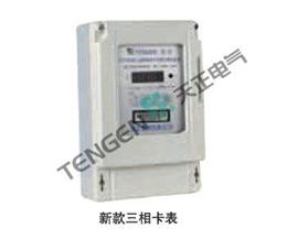 DTSY256型三相电子式预付费电能表